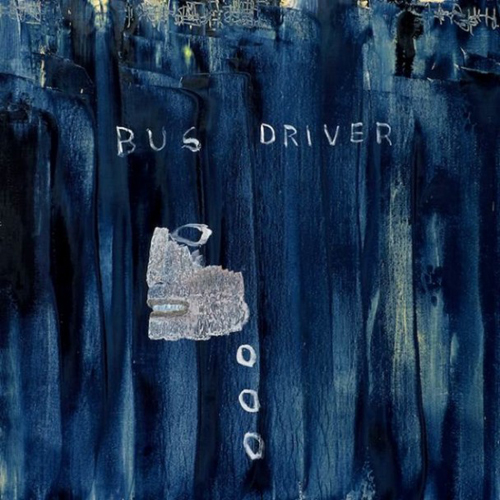 busdriver-perfect-hair-cover