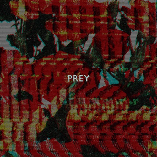 doley-bernays-prey