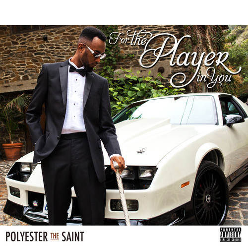 polyester-player-in-you-cover