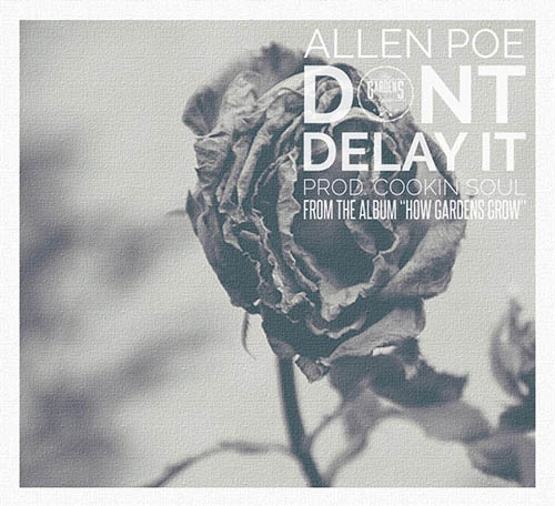 allen-poe-dont-delay-it-main
