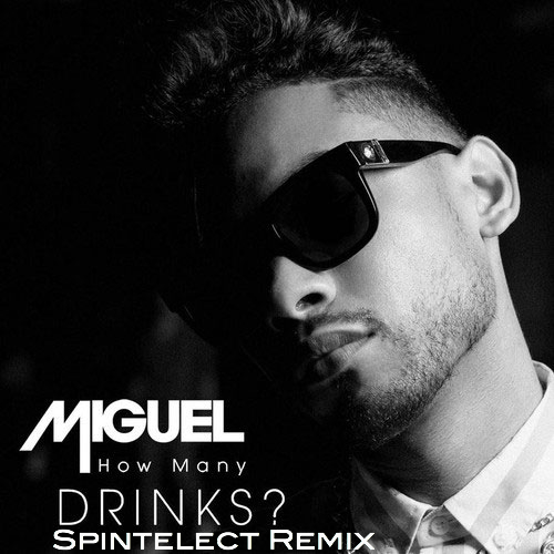 spintelect-miguel