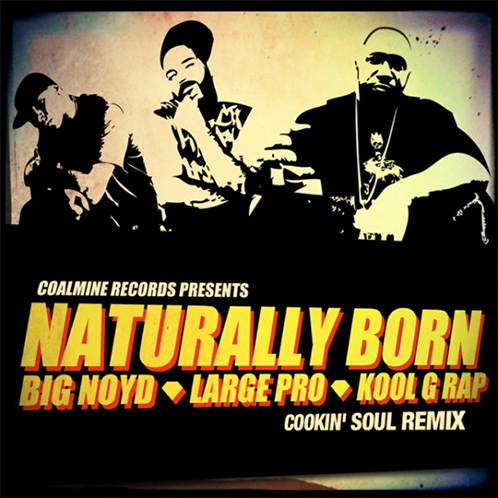 cookin-soul-naturaly-born
