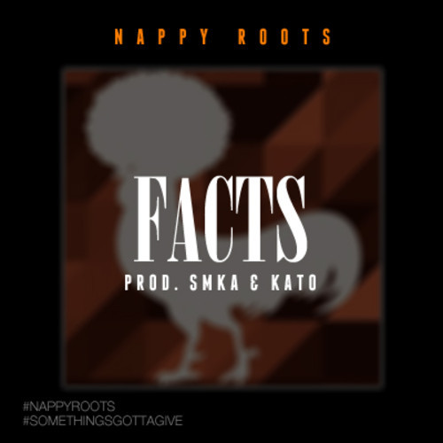 nappy-roots-facts