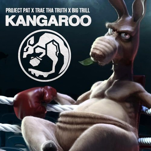 project-pat-kangaroo
