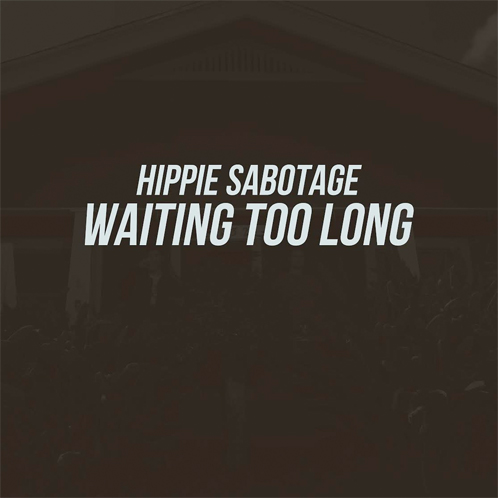 hippie-sabotage-waiting-too-long