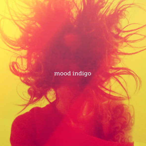 novel-indigo-cover
