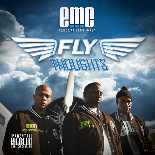 emc-fly-thoughts