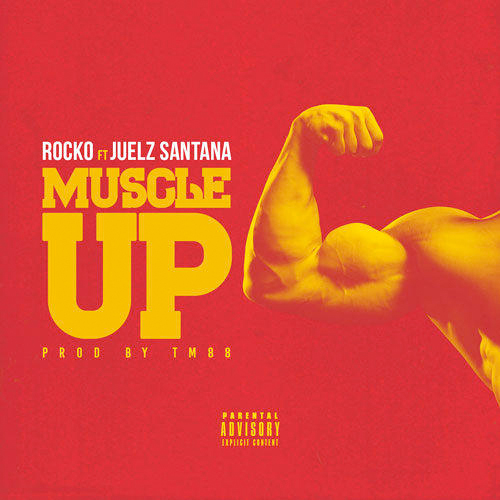 rocko-muscle-up