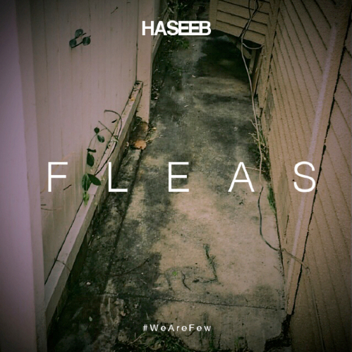 haseeb-fleas