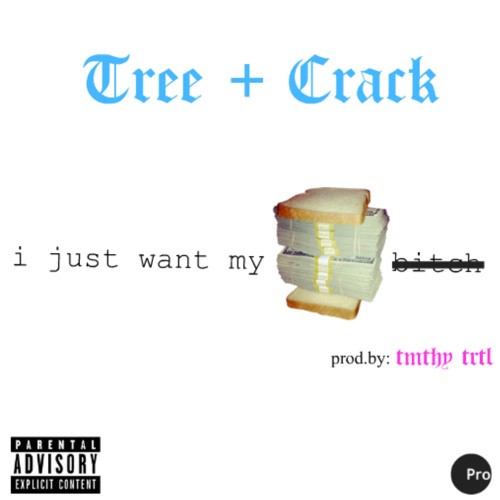 tree-crack-ijwmbb