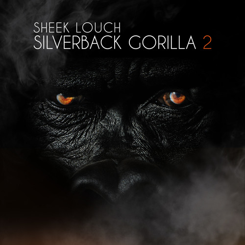 sheek-louch-silverback-gorilla-2