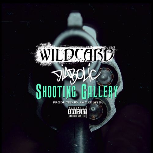 wildcard-shooting