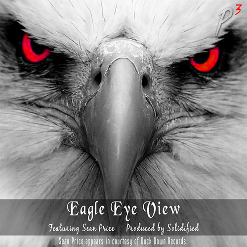 meRCY-eagle-eye-view