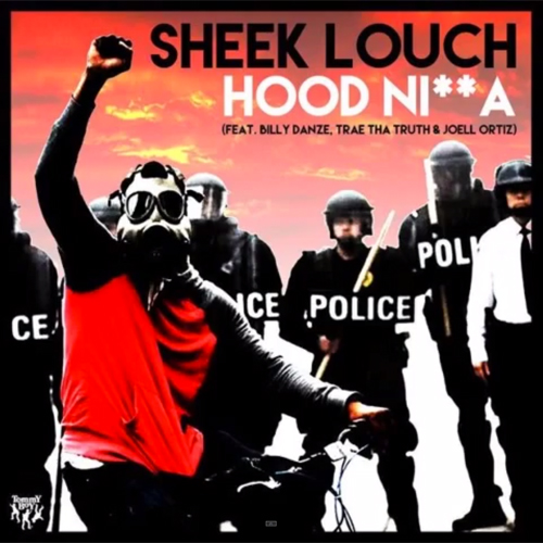 sheek-louch-hood-cover