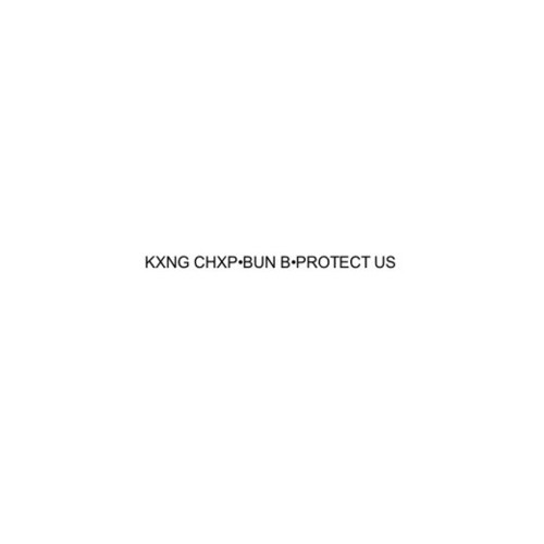 king-chip-bun-b-protect