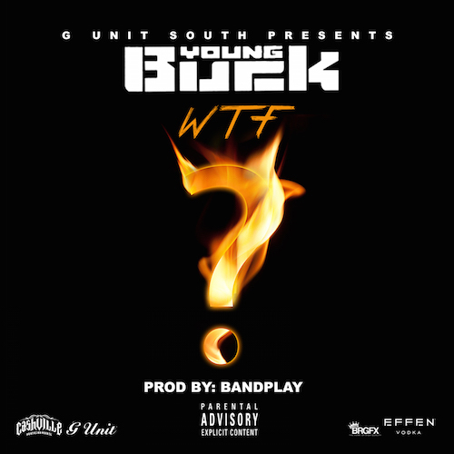 young-buck-wtf