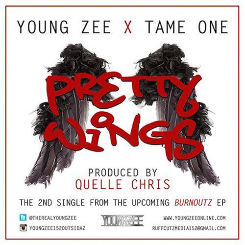 young-zee-tame-one-pretty-wings