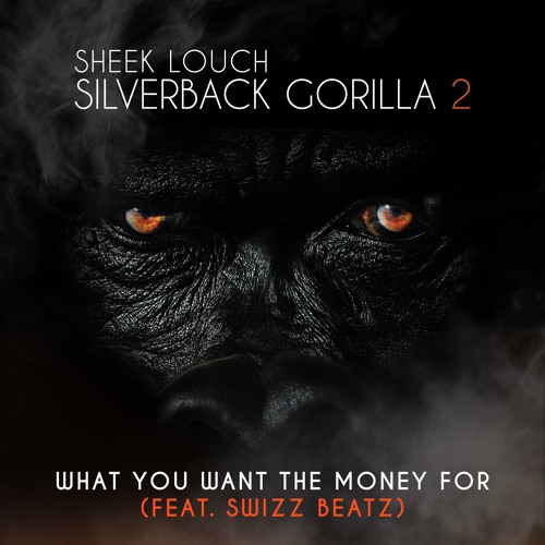 sheek-louch-what-you-want-the-money-for