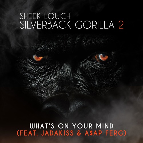 sheek-louch-whats-on-your-mind