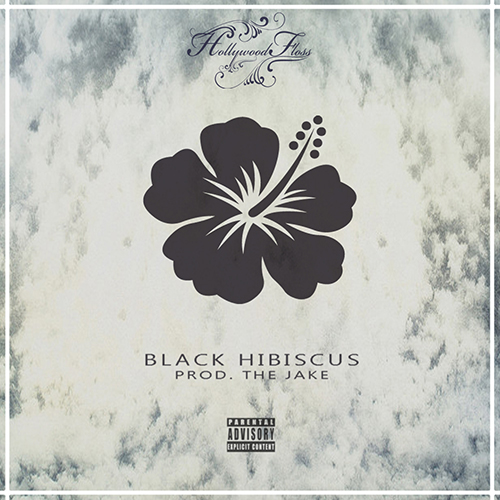 hollywood-floss-black-hibiscus
