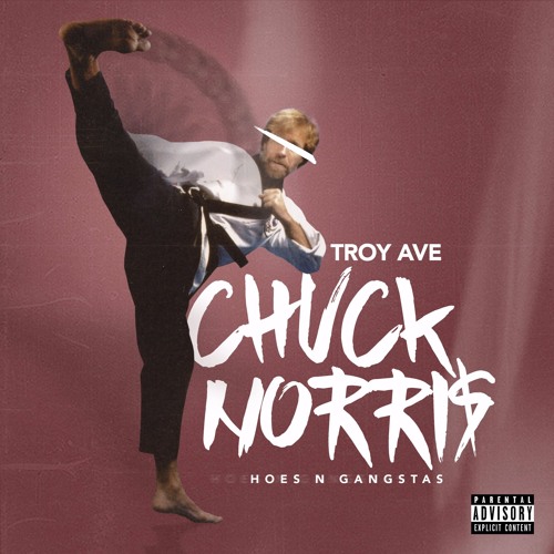 troy-ave-chuck-norris