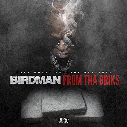 birdman-briks