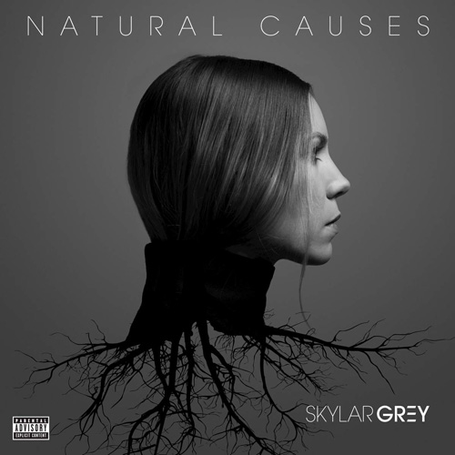 skylar-grey-natural-causes