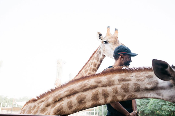 big-sean-giraffe