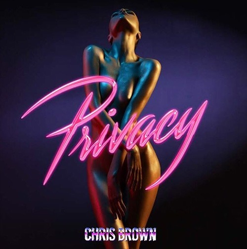 chris-brown-privacy