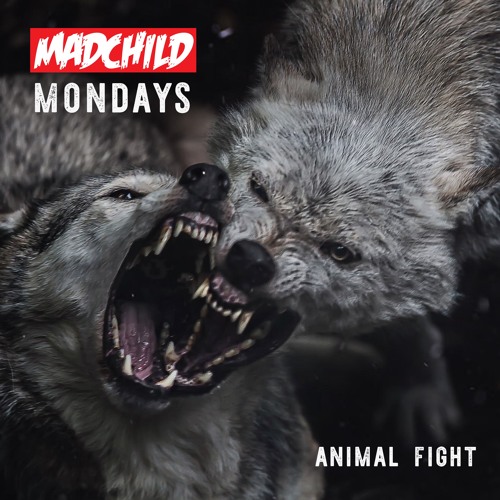 madchild-animal-flight