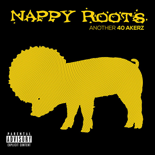 nappy-roots-another-40-akerz